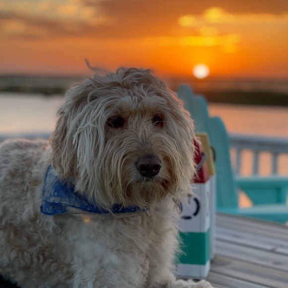 Adventure in my heart, pearls on my wrist-Free spirit wrapped in a silk scarf. - Picture 13 of 16